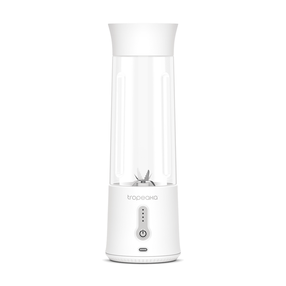 PORTABLE BLENDER